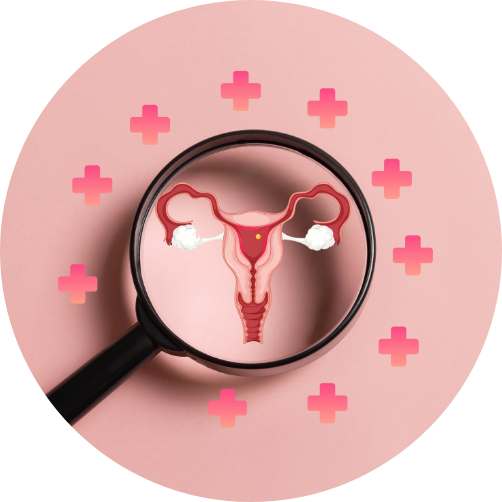 Traitement de la ménopause Traitement de la ménopause