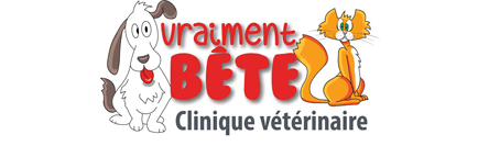 Vraiment Bête Vraiment Bête