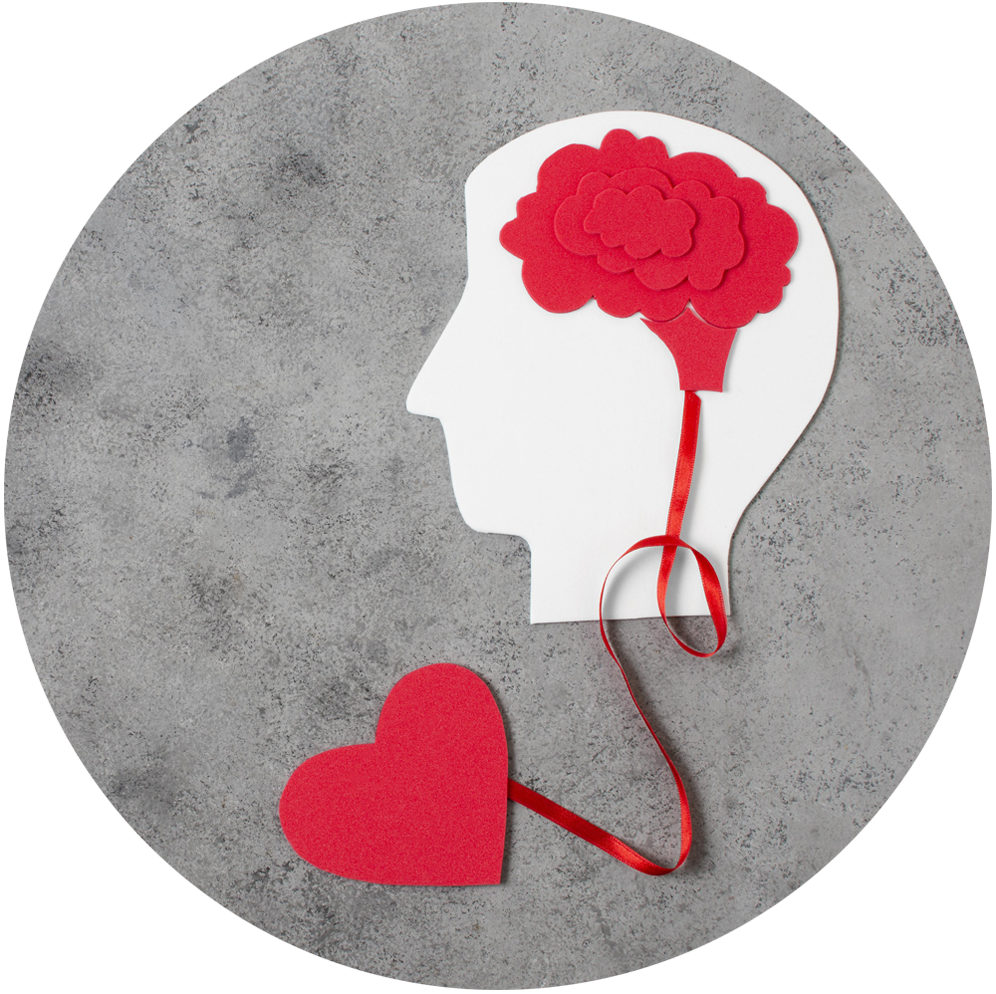 Artistic image of a brain linked to a heart, expressing the balance between thoughts and feelings
