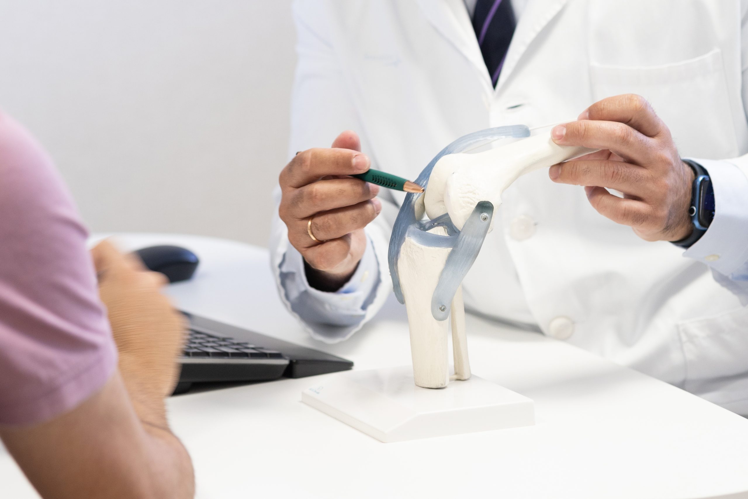 Doctor Pointing at Knee Ligaments Model During Consultation